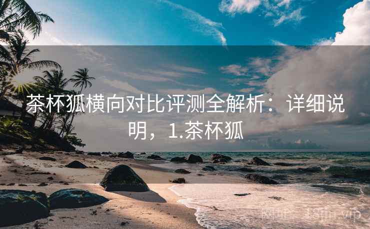 茶杯狐横向对比评测全解析：详细说明，1.茶杯狐