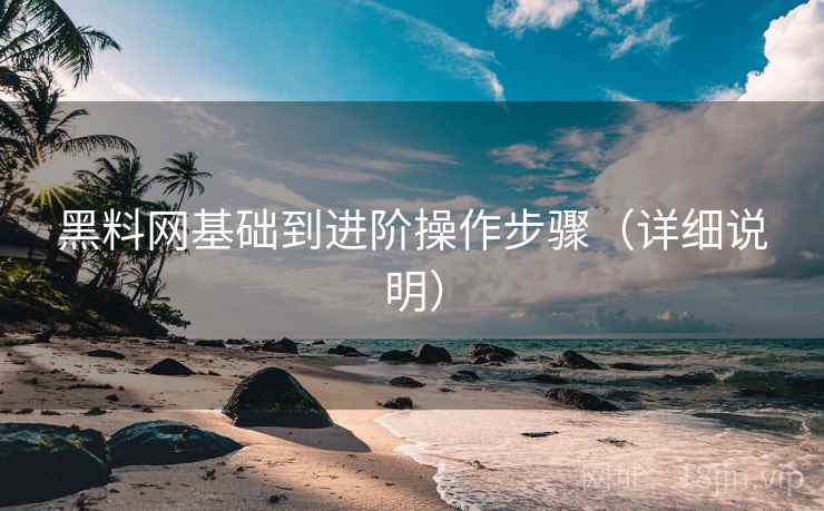 黑料网基础到进阶操作步骤（详细说明）