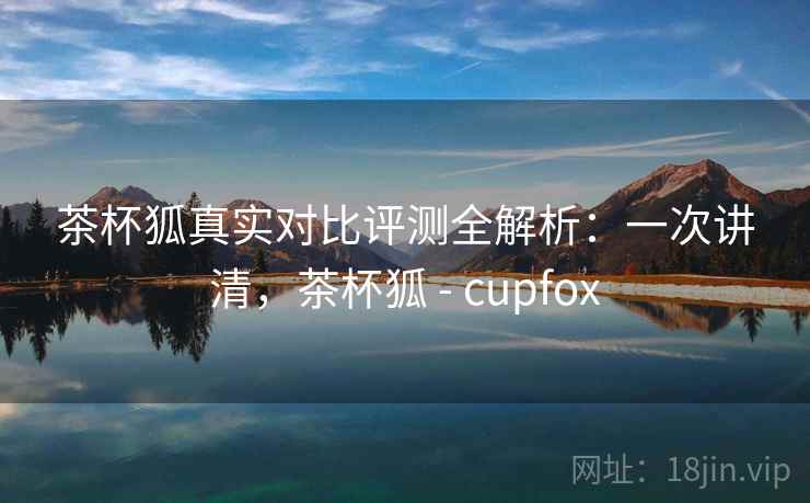 茶杯狐真实对比评测全解析：一次讲清，茶杯狐 - cupfox